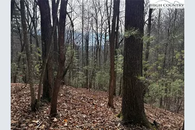 Lot 21 Buck Mountain Road, Purlear, NC 28665 - Photo 9