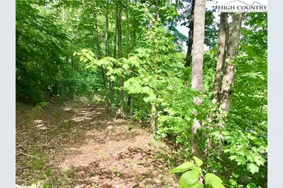 Lot 44 Round Mountain Parkway, Lenoir, NC 28645 - Photo 7