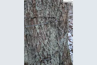 Tbd Bledsoe Creek Road, Sparta, NC 28675 - Photo 29