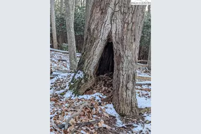 Tbd Bledsoe Creek Road, Sparta, NC 28675 - Photo 15