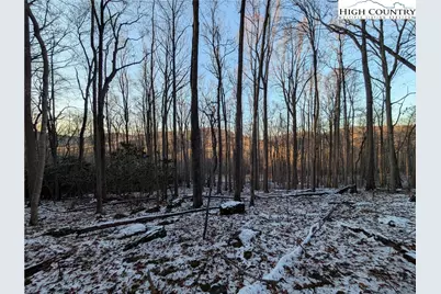Tbd Bledsoe Creek Road, Sparta, NC 28675 - Photo 23