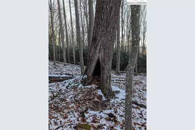 Tbd Bledsoe Creek Road, Sparta, NC 28675 - Photo 15