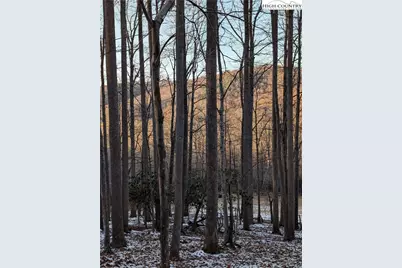 Tbd Bledsoe Creek Road, Sparta, NC 28675 - Photo 17