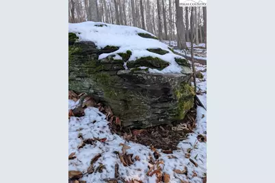 Tbd Bledsoe Creek Road, Sparta, NC 28675 - Photo 21