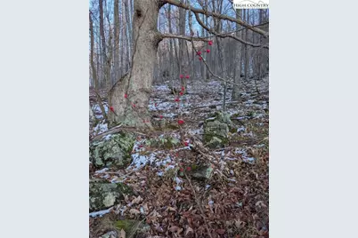 Tbd Bledsoe Creek Road, Sparta, NC 28675 - Photo 9