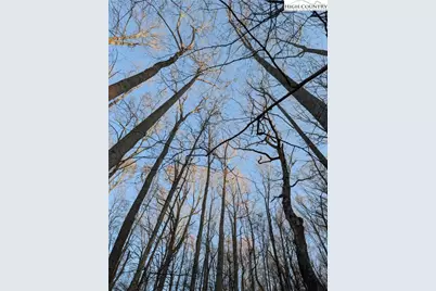 Tbd Bledsoe Creek Road, Sparta, NC 28675 - Photo 13