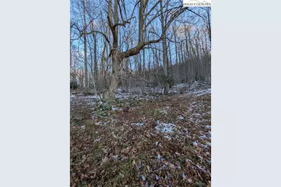 Tbd Bledsoe Creek Road, Sparta, NC 28675 - Photo 7