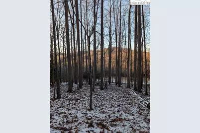 Tbd Bledsoe Creek Road, Sparta, NC 28675 - Photo 19