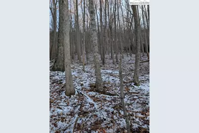 Tbd Bledsoe Creek Road, Sparta, NC 28675 - Photo 11