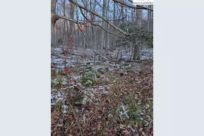 Tbd Bledsoe Creek Road, Sparta, NC 28675 - Photo 9