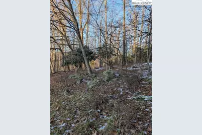 Tbd Bledsoe Creek Road, Sparta, NC 28675 - Photo 3