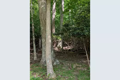 Tbd Bledsoe Creek Road, Sparta, NC 28675 - Photo 3