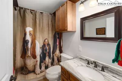 1543 Grouse Moor Drive, Sugar Mountain, NC 28604 - Photo 23