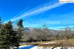 253 Bittersweet Wy, West Jefferson, NC 28694 - Photo 37