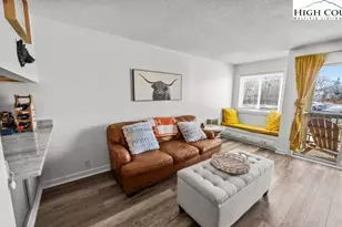 301 Pinnacle Inn Rd, Beech Mountain, NC 28604 - Photo 5