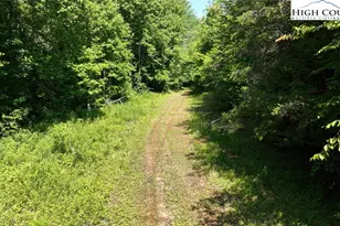 2967 Roby Martin Rd, Lenoir, NC 28645 - Photo 41