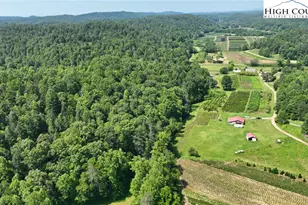 2967 Roby Martin Rd, Lenoir, NC 28645 - Photo 43