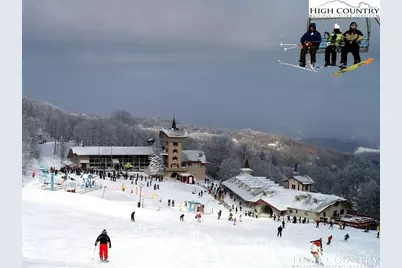 101 Larkspur Lane, Beech Mountain, NC 28604 - Photo 9