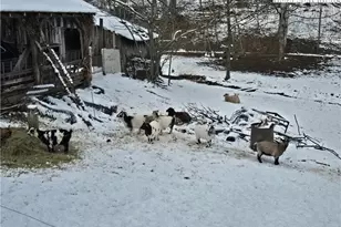 325 Sawyers Rd, Warrensville, NC 28693 - Photo 33