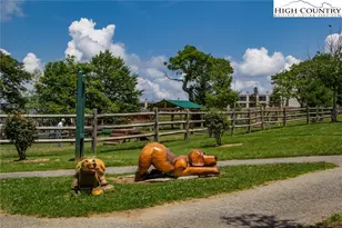 301 Pinnacle Inn Rd, Banner Elk, NC 28604 - Photo 47