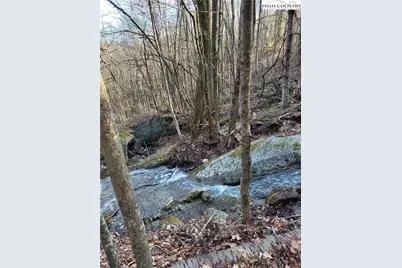 Tract 1-54.377 Ac Cone Orchard Lane, Blowing Rock, NC 28605 - Photo 3