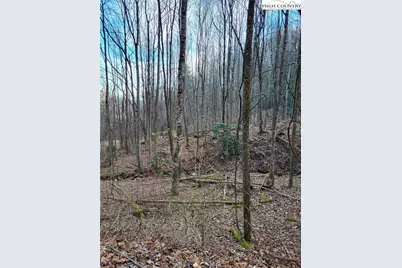 Tract 1-54.377 Ac Cone Orchard Lane, Blowing Rock, NC 28605 - Photo 9