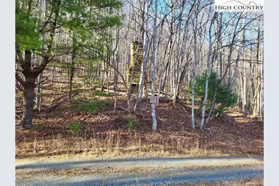 Tract 1-54.377 Ac Cone Orchard Lane, Blowing Rock, NC 28605 - Photo 11