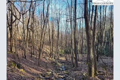 Tract 1-54.377 Ac Cone Orchard Lane, Blowing Rock, NC 28605 - Photo 13
