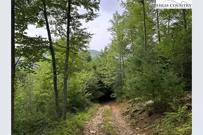 Tbd Nc Highway 194 S, Sugar Grove, NC 28679 - Photo 25