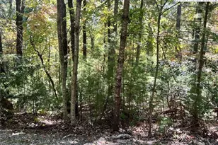 8 Laurel Rd, Purlear, NC 28665 - Photo 1