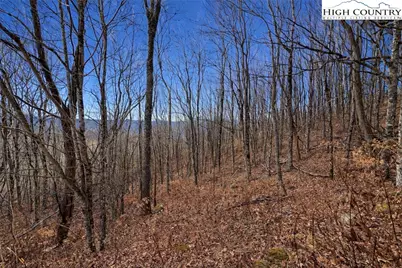 Tbd Wakeman Way, Banner Elk, NC 28604 - Photo 1