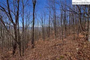 Tbd Wakeman Way, Banner Elk, NC 28604 - Photo 1