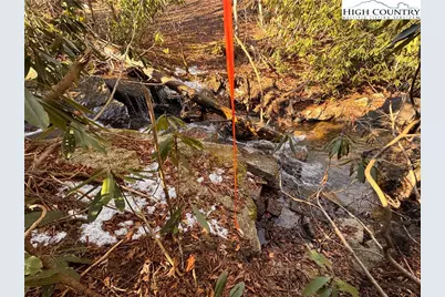 117 Wild Daisy Lane, Beech Mountain, NC 28604 - Photo 5