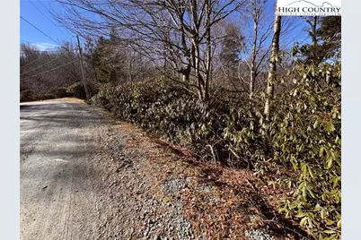 117 Wild Daisy Lane, Beech Mountain, NC 28604 - Photo 1