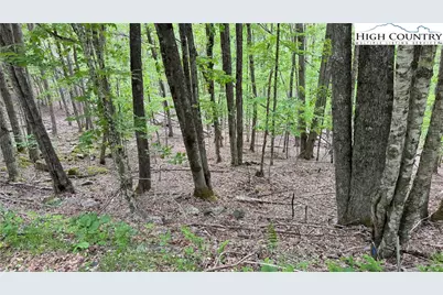 206 Wild Daisy Lane, Beech Mountain, NC 28604 - Photo 23