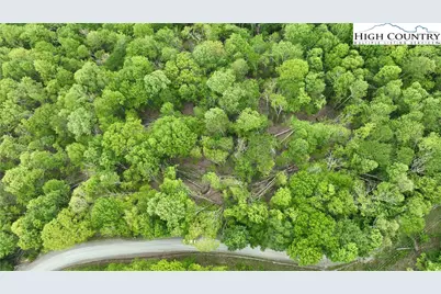 206 Wild Daisy Lane, Beech Mountain, NC 28604 - Photo 15