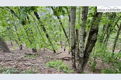 206 Wild Daisy Lane, Beech Mountain, NC 28604 - Photo 29