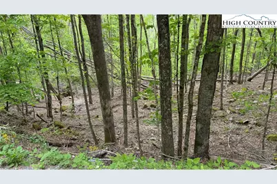 206 Wild Daisy Lane, Beech Mountain, NC 28604 - Photo 27