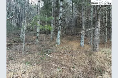 Tbd Old Highway 16 Highway, Grassy Creek, NC 28631 - Photo 3