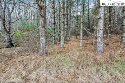 Tbd Old Highway 16 Highway, Grassy Creek, NC 28631 - Photo 45