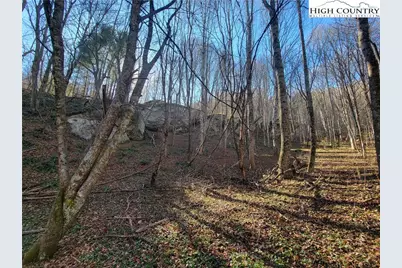 Tbd Old Highway 16 Highway, Grassy Creek, NC 28631 - Photo 49