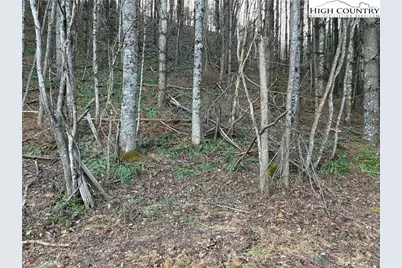 Tbd Old Highway 16 Highway, Grassy Creek, NC 28631 - Photo 11