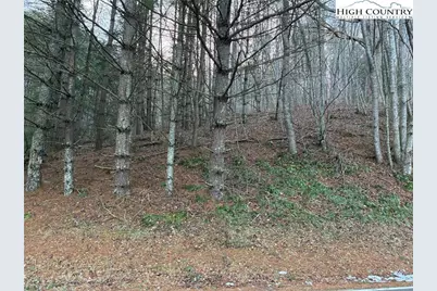 Tbd Old Highway 16 Highway, Grassy Creek, NC 28631 - Photo 5