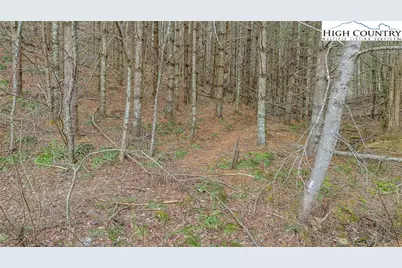 Tbd Old Highway 16 Highway, Grassy Creek, NC 28631 - Photo 31