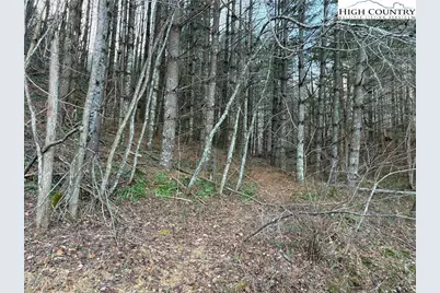 Tbd Old Highway 16 Highway, Grassy Creek, NC 28631 - Photo 9