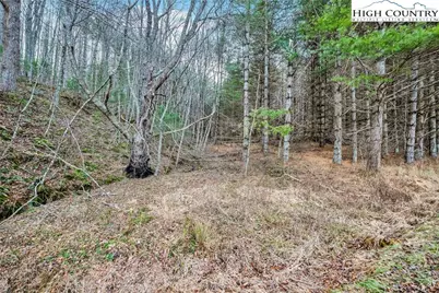 Tbd Old Highway 16 Highway, Grassy Creek, NC 28631 - Photo 45