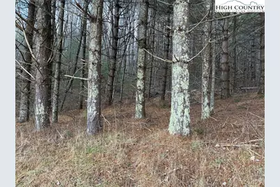 Tbd Old Highway 16 Highway, Grassy Creek, NC 28631 - Photo 7