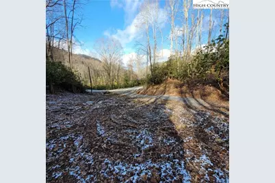 1463 Pine Ridge Road, Beech Mountain, NC 28604 - Photo 11