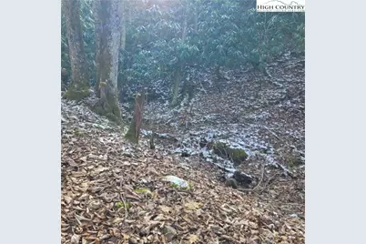 1463 Pine Ridge Road, Beech Mountain, NC 28604 - Photo 13