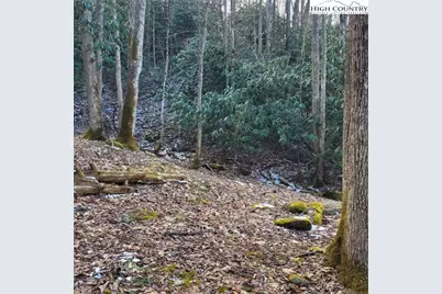 1463 Pine Ridge Road, Beech Mountain, NC 28604 - Photo 19